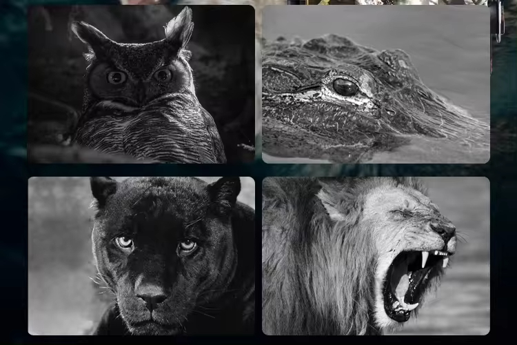 1080P Full HD IR Night Vision  - Outdoor Hunting Images recensie en prijs