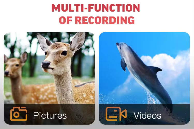 1080P Full HD IR Night Vision  - Outdoor Hunting Images recensie en prijs