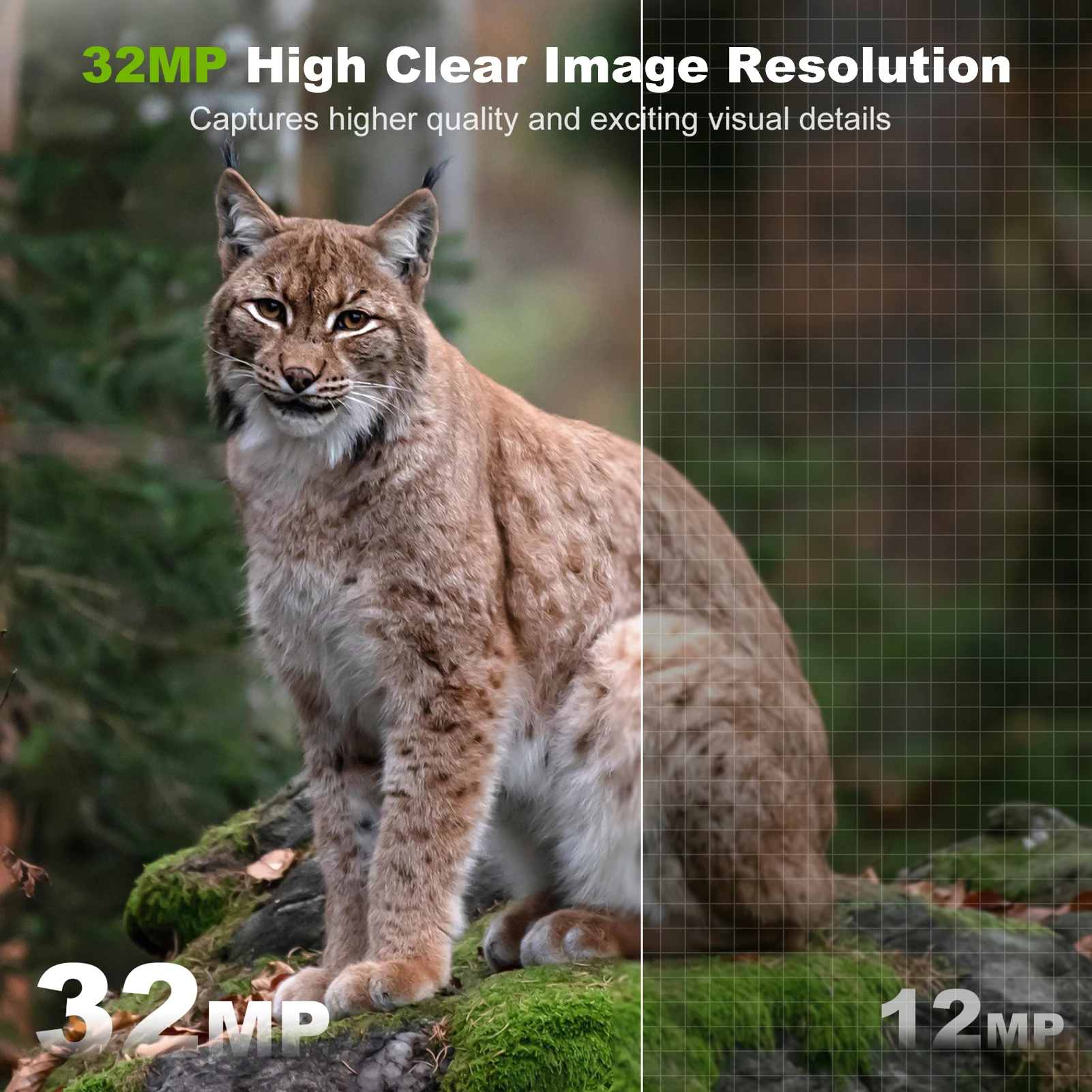 Solar Camera Outdoor Wireless  - Outdoor Hunting Camera Wireless recensie en prijs